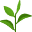 Plantes
